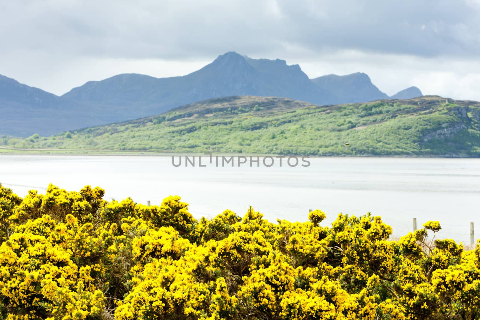 Kyle of Tongue, Highlands, Scotland by phbcz