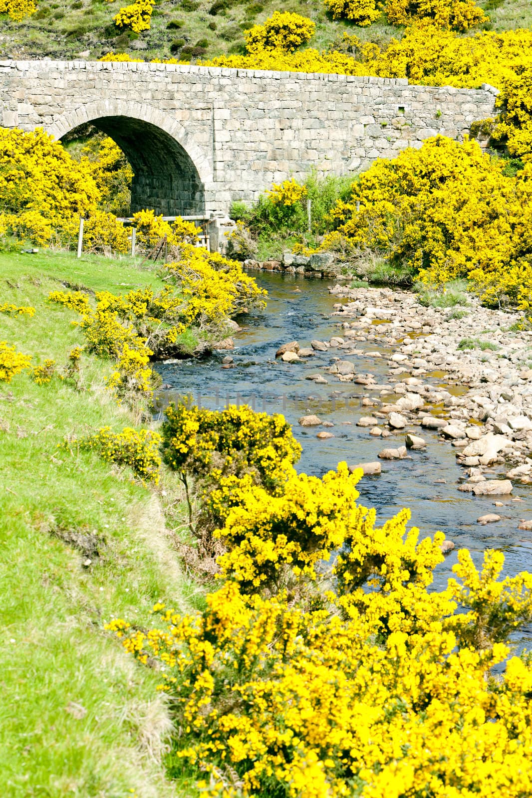 bridge near Armadale Bay, Highlands, Scotland