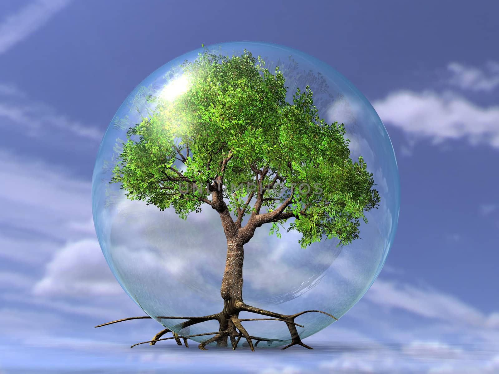 the tree in the bubble