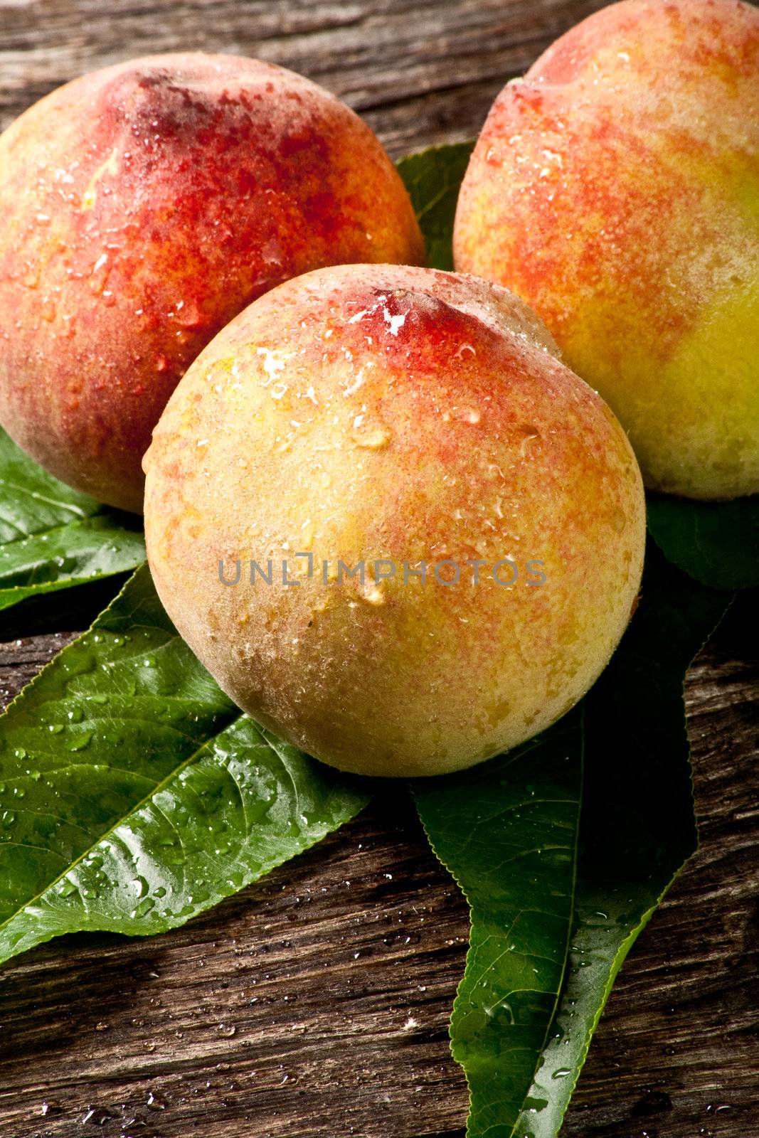 some fresh withe peaches with leaf on wood