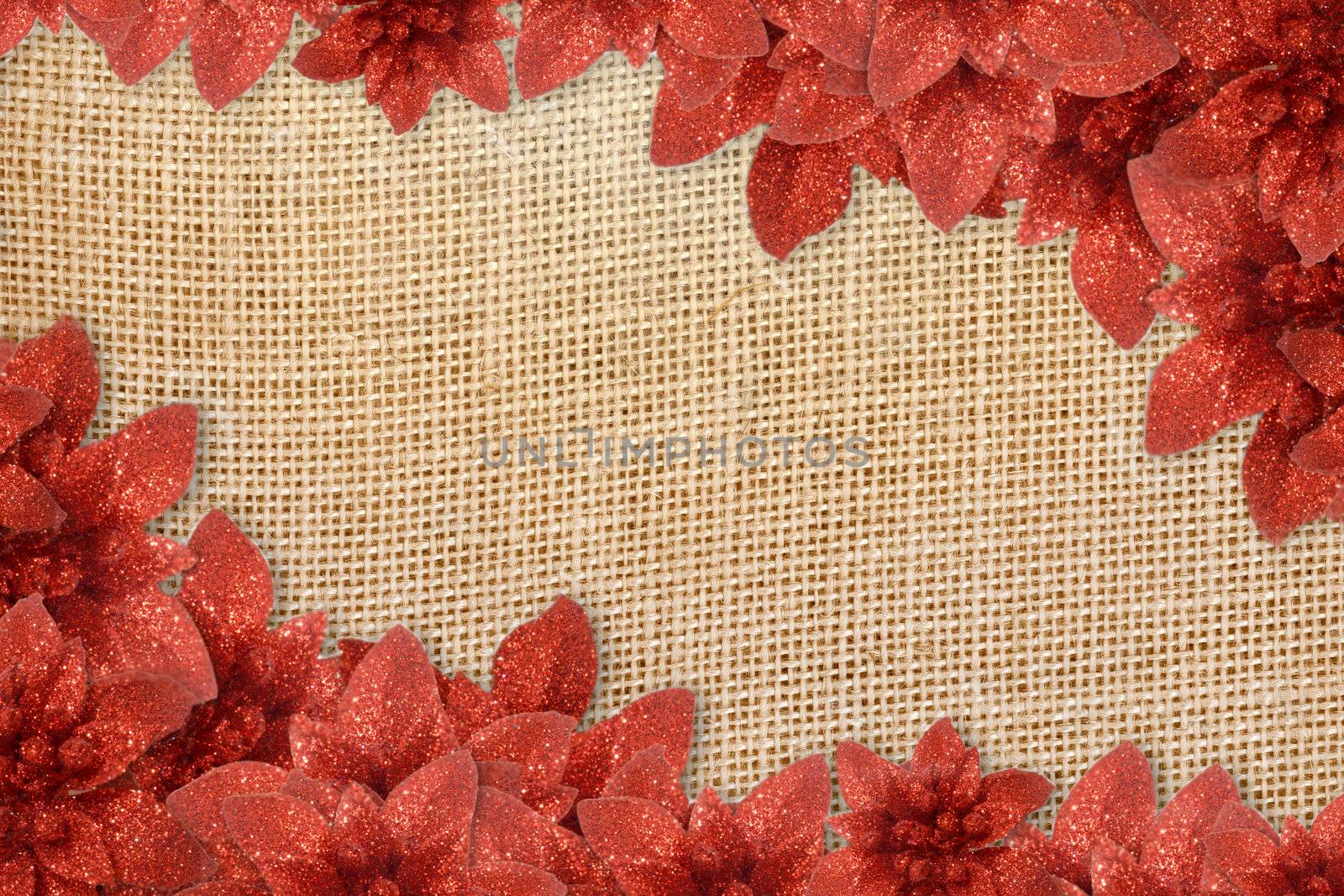 background christmas poinsettia on sacking by Carche