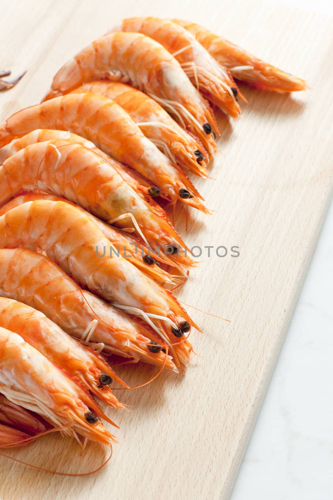 still life of raw prawns