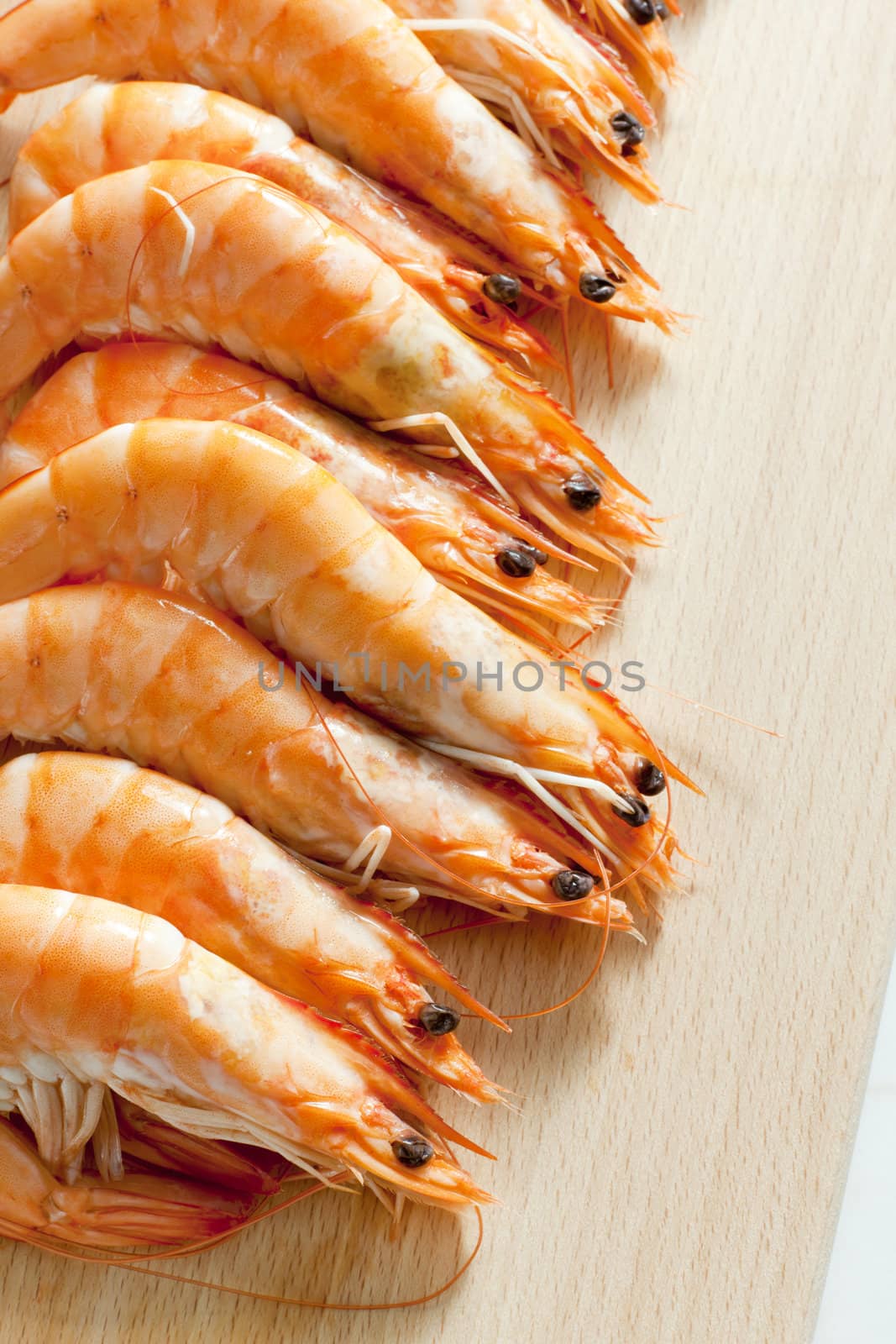 still life of raw prawns