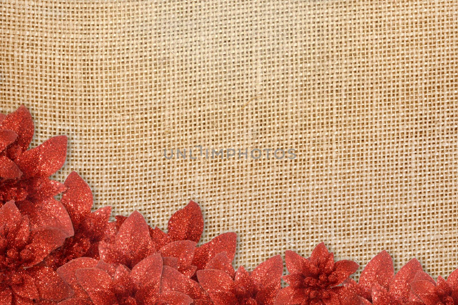 rustic background Christmas poinsettias by Carche