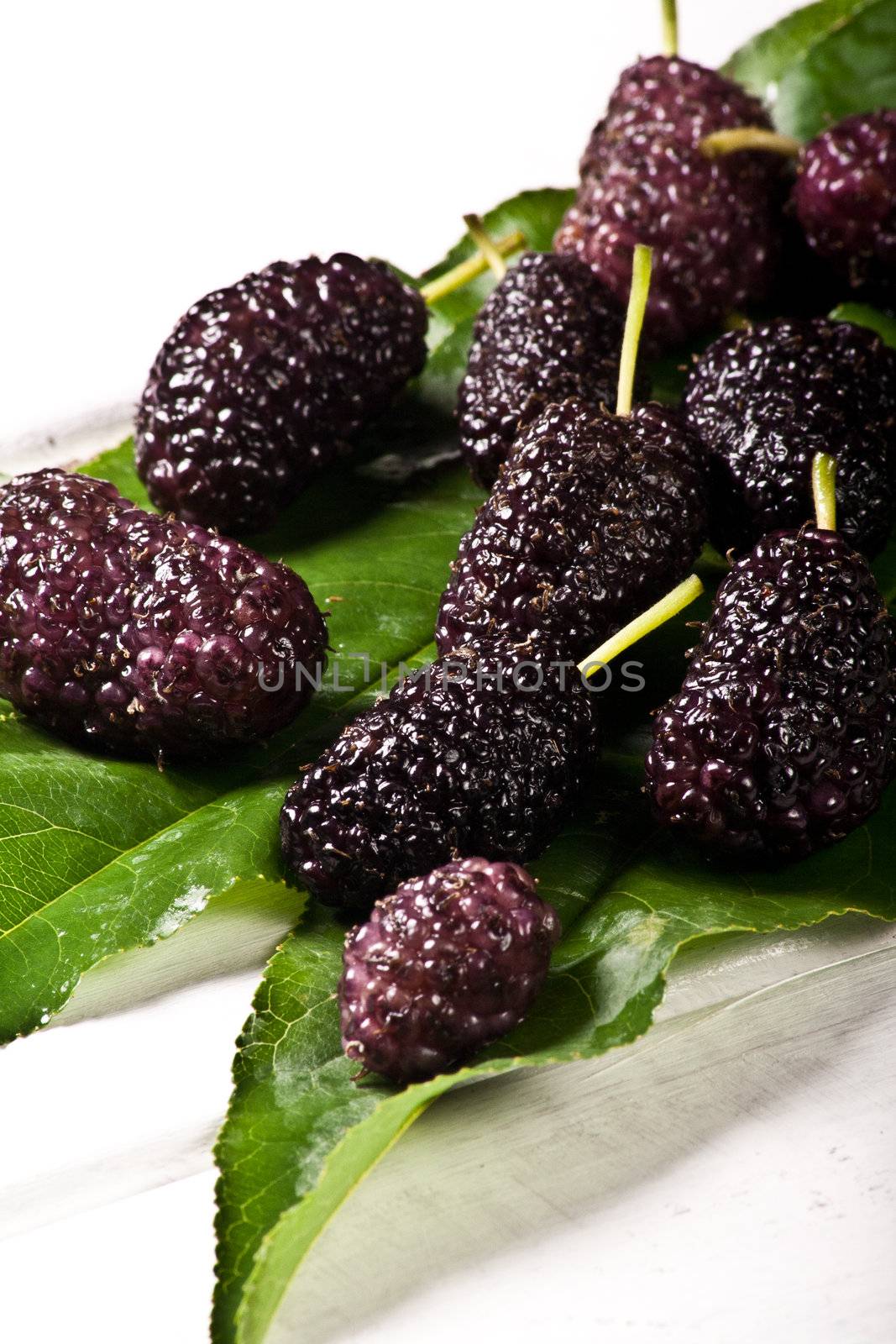 mulberries by maxg71