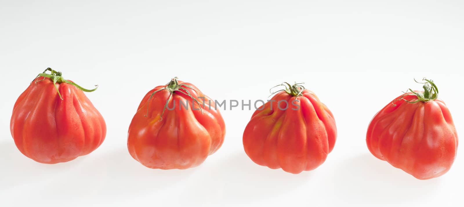 tomatoes by phbcz