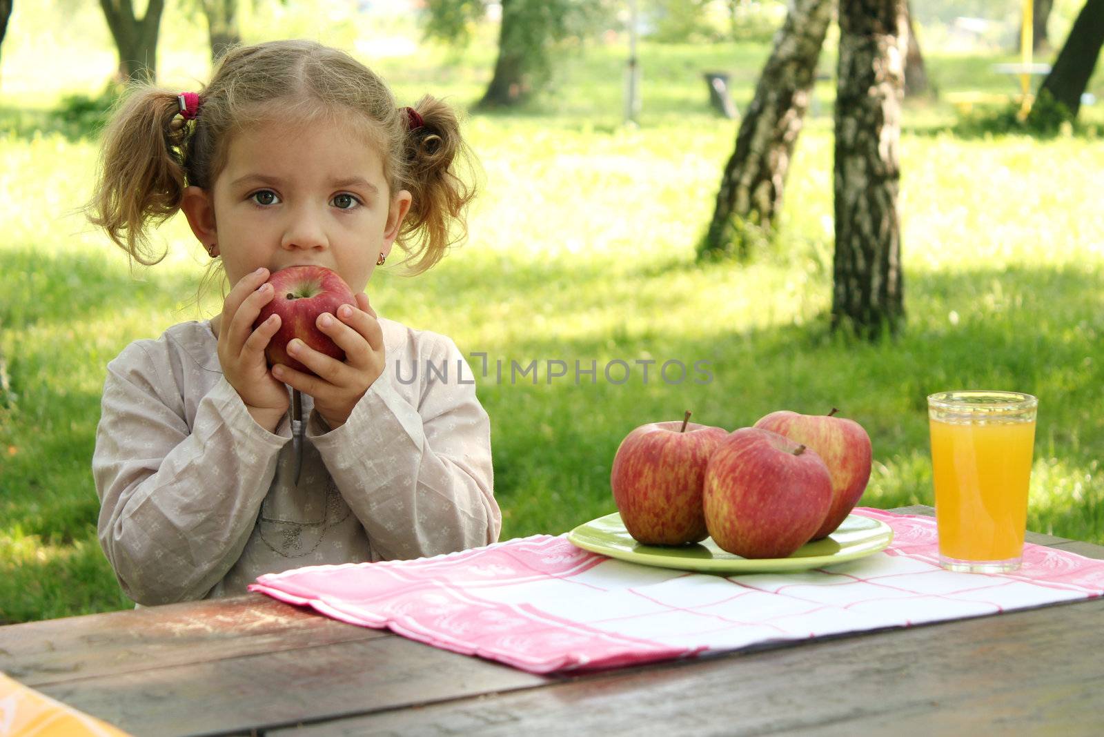 little girl eat apple in park by goce