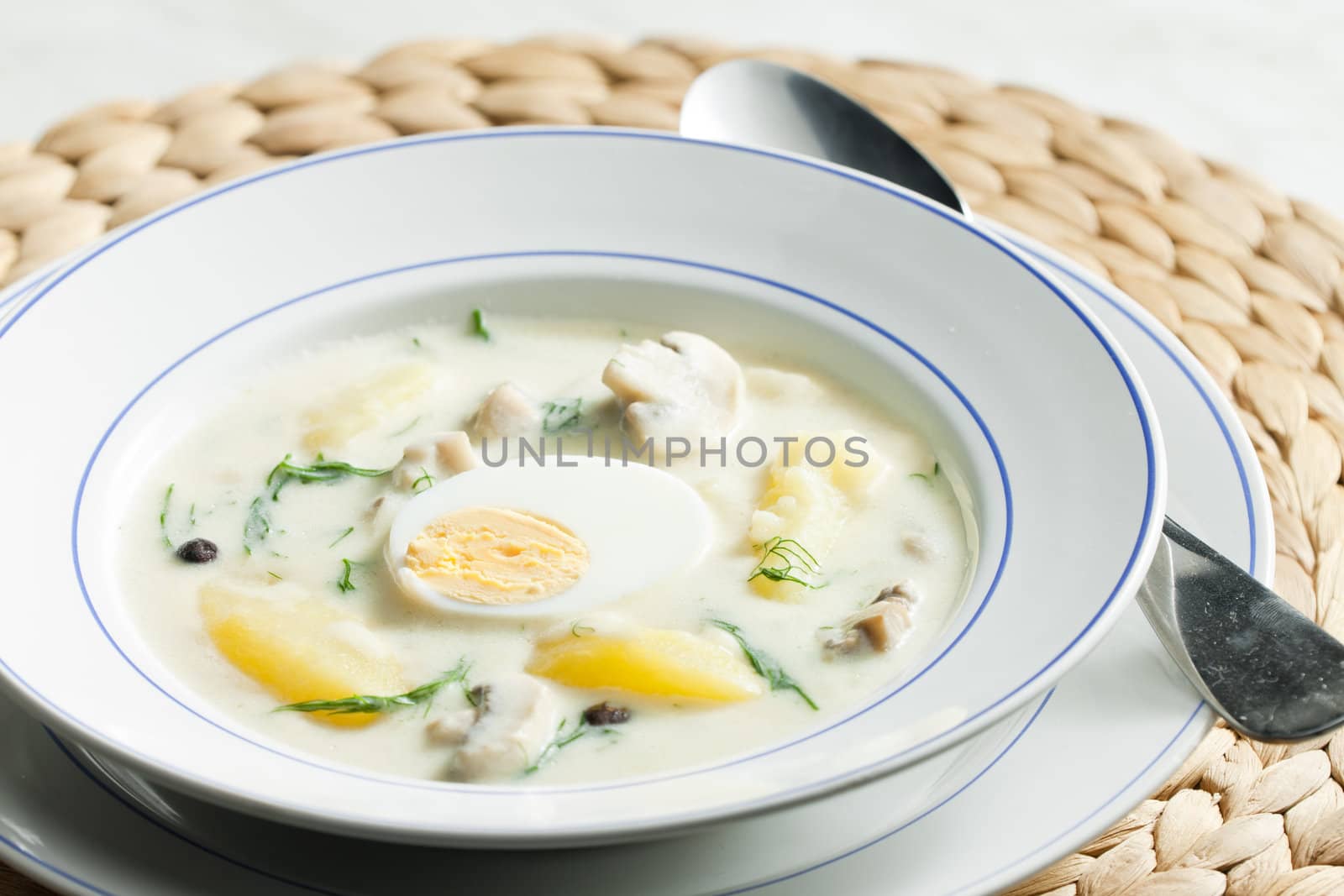 dill soup