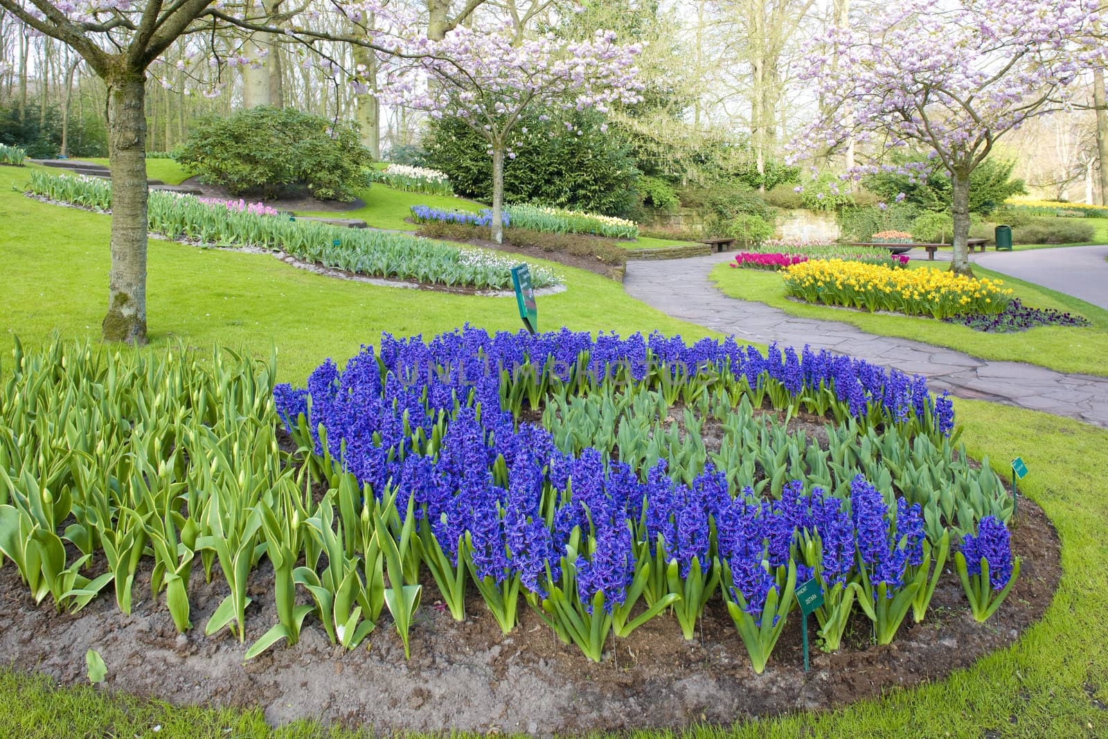 Keukenhof Gardens, Lisse, Netherlands by phbcz