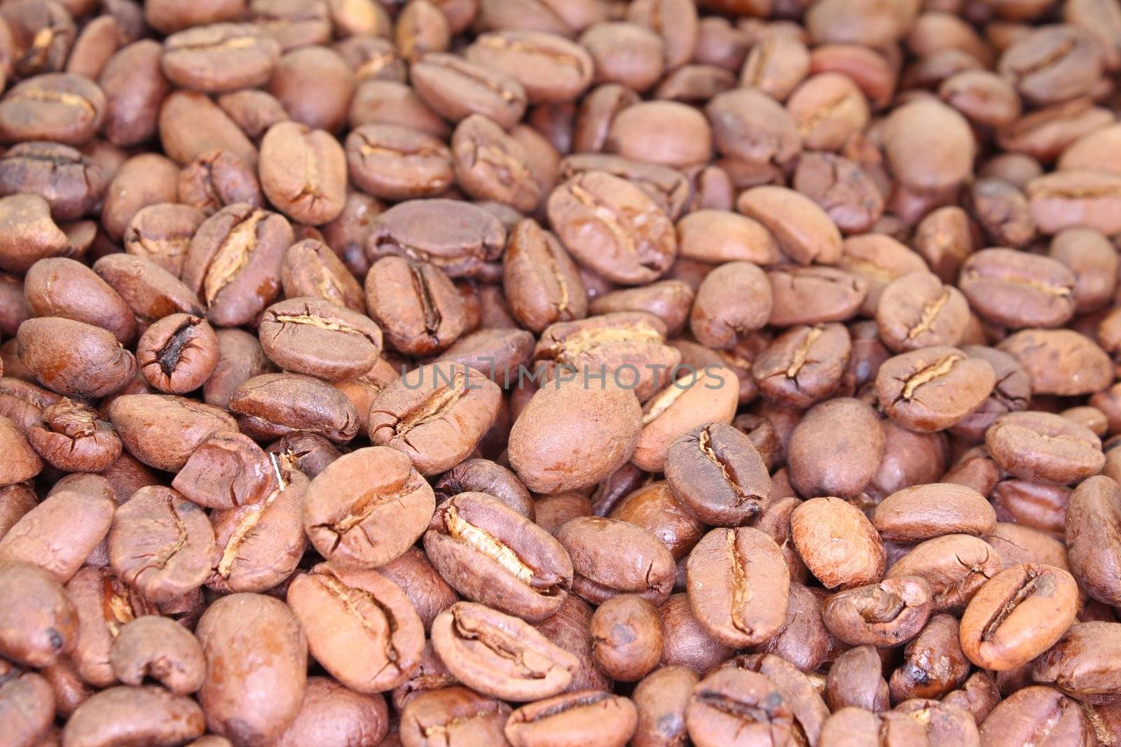 brown fresh coffee beans as a background image