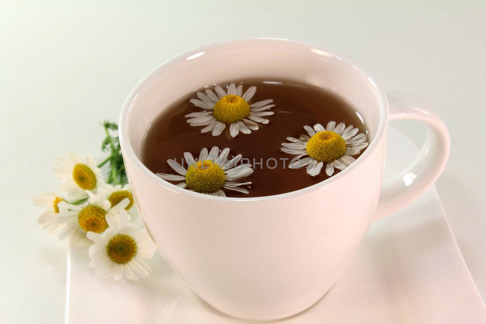 chamomile tea by discovery