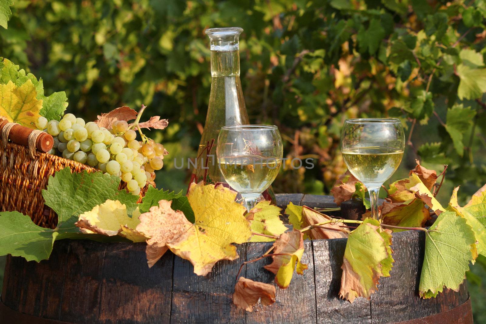 white wine and grape by goce