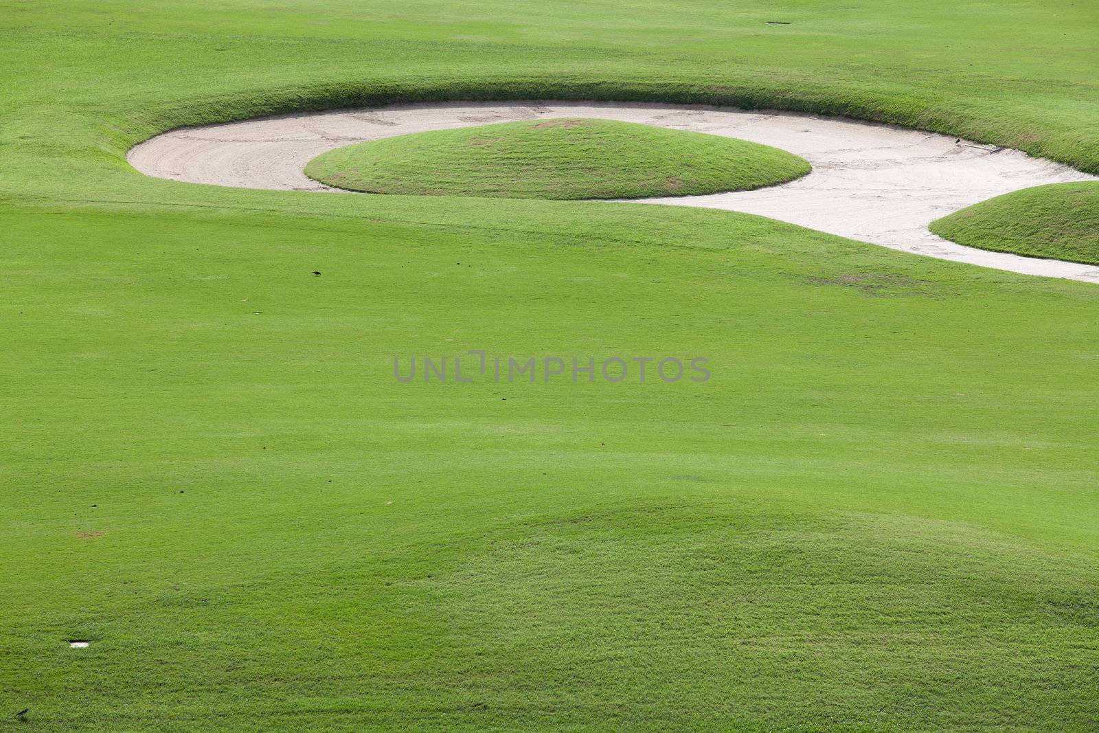 Green grass and sand at golf course by Suriyaphoto