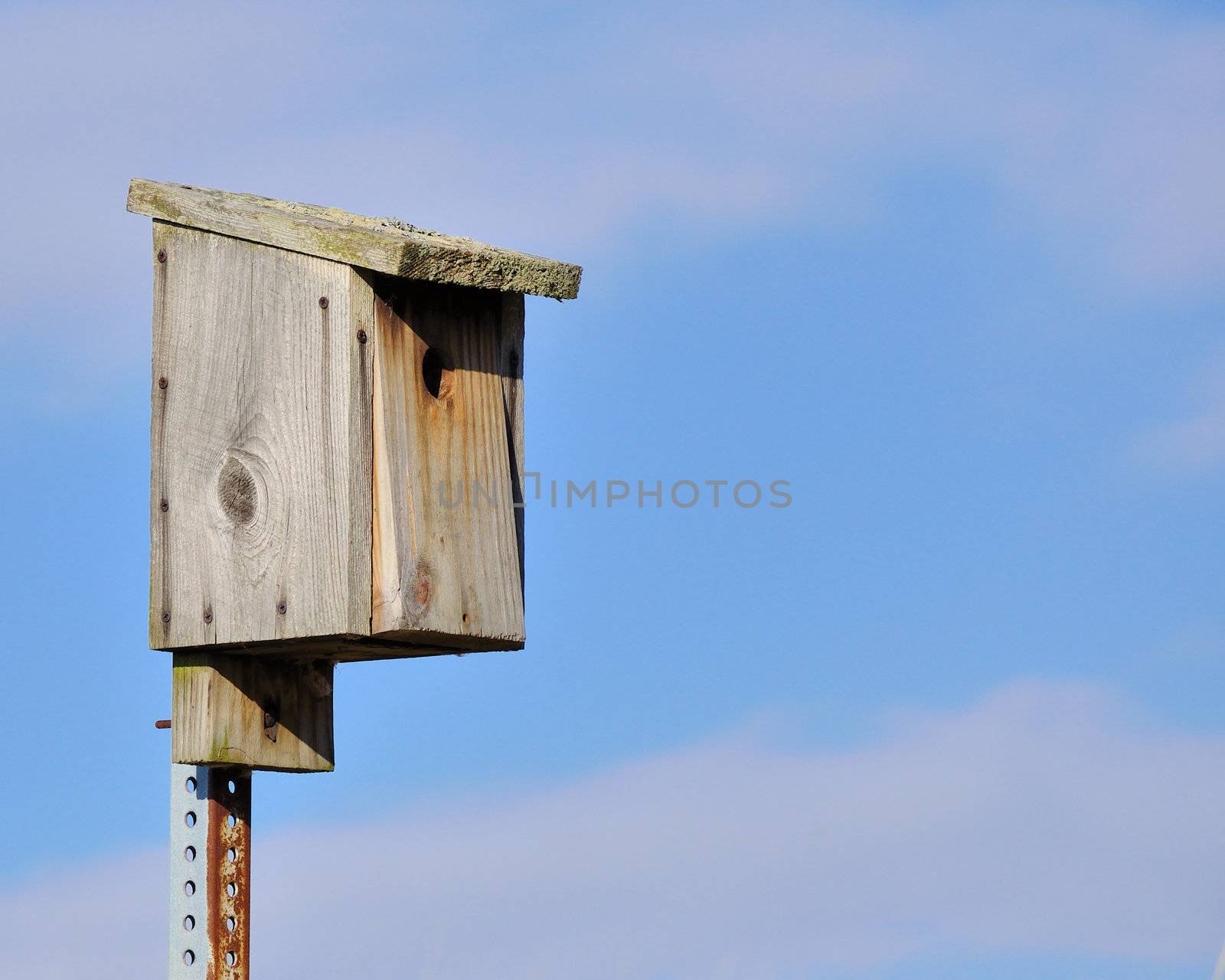 Bluebird Nesting Box by brm1949