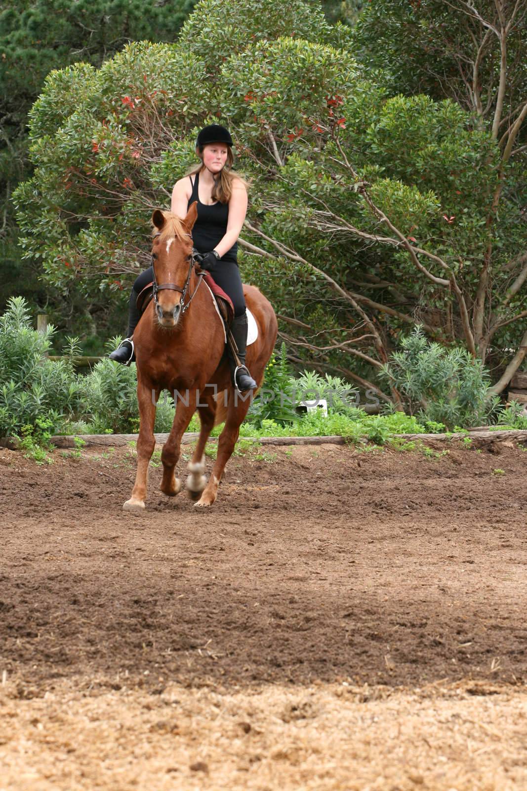 Young female rider on a brown horse