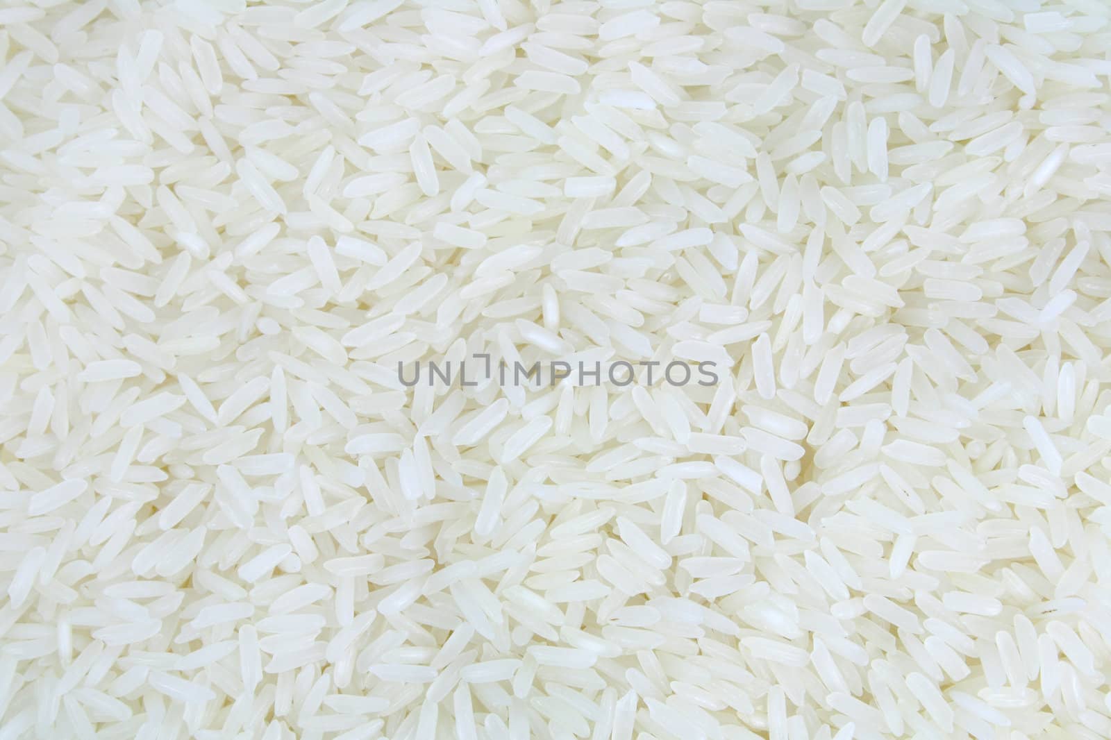 Thai White Jasmine rice background texture