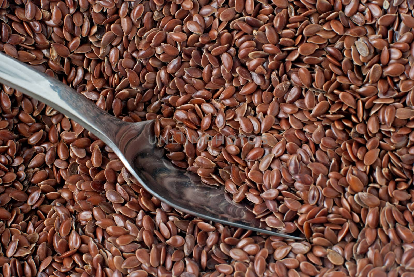 Linseed background detailed background.