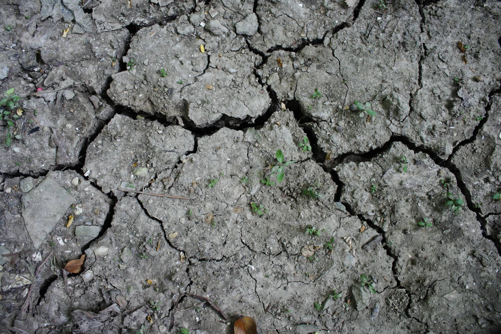 Dry soil by liewluck