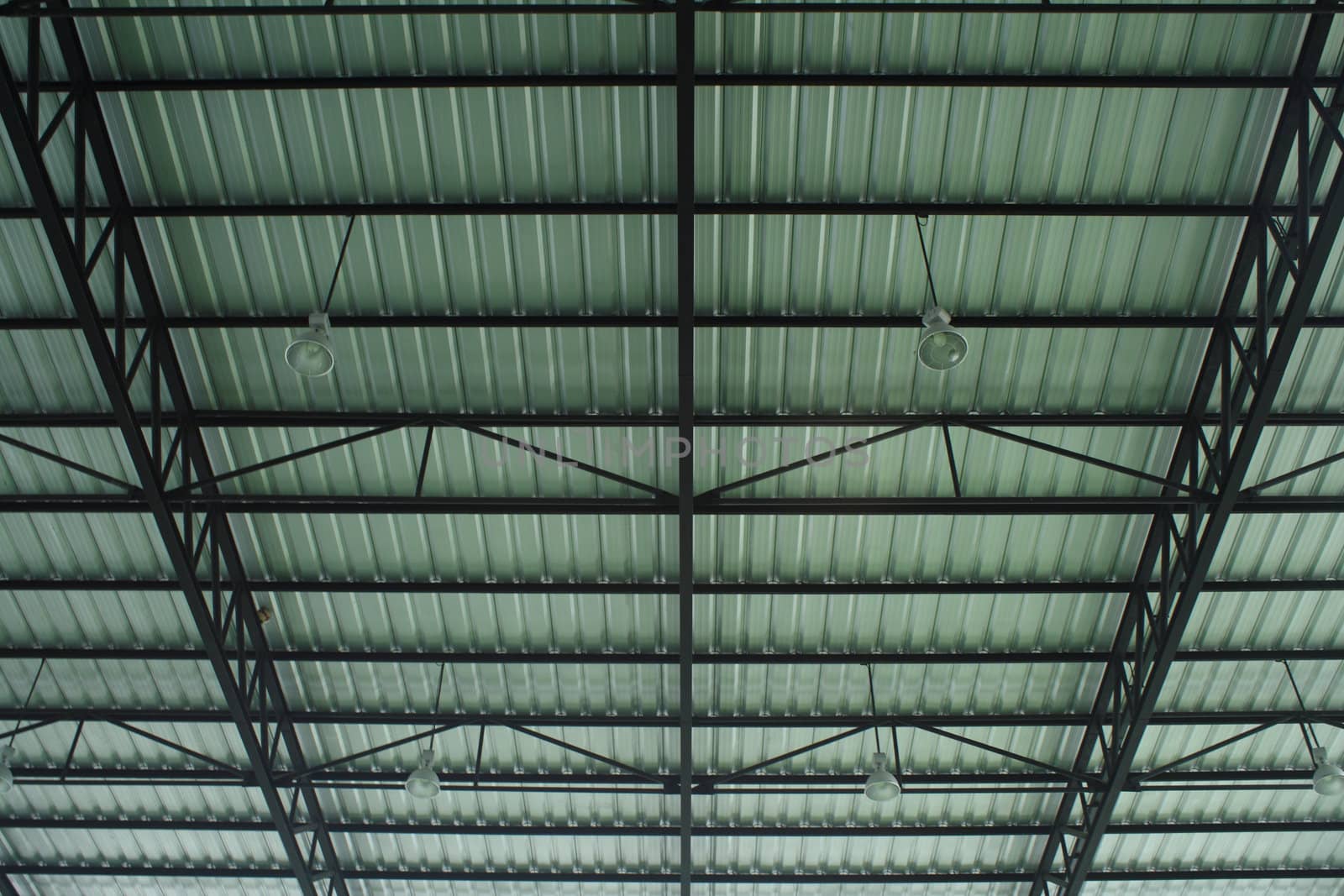Roof of large modern hall