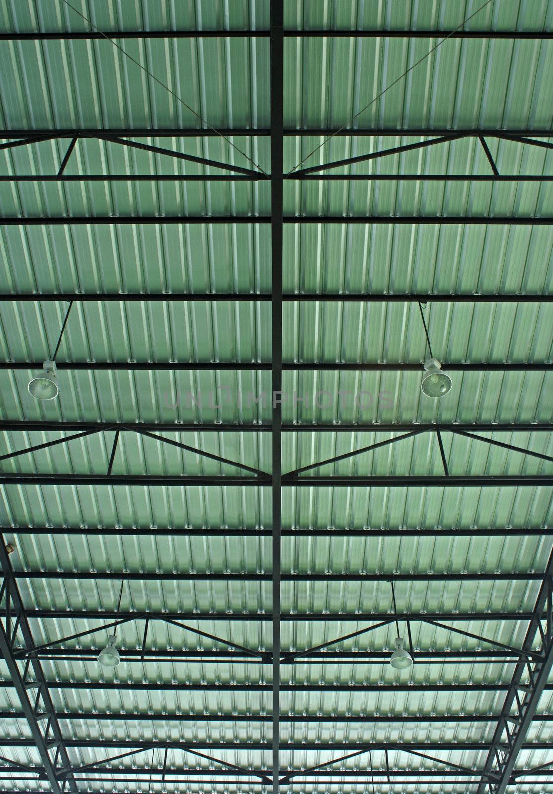 Roof of large modern hall