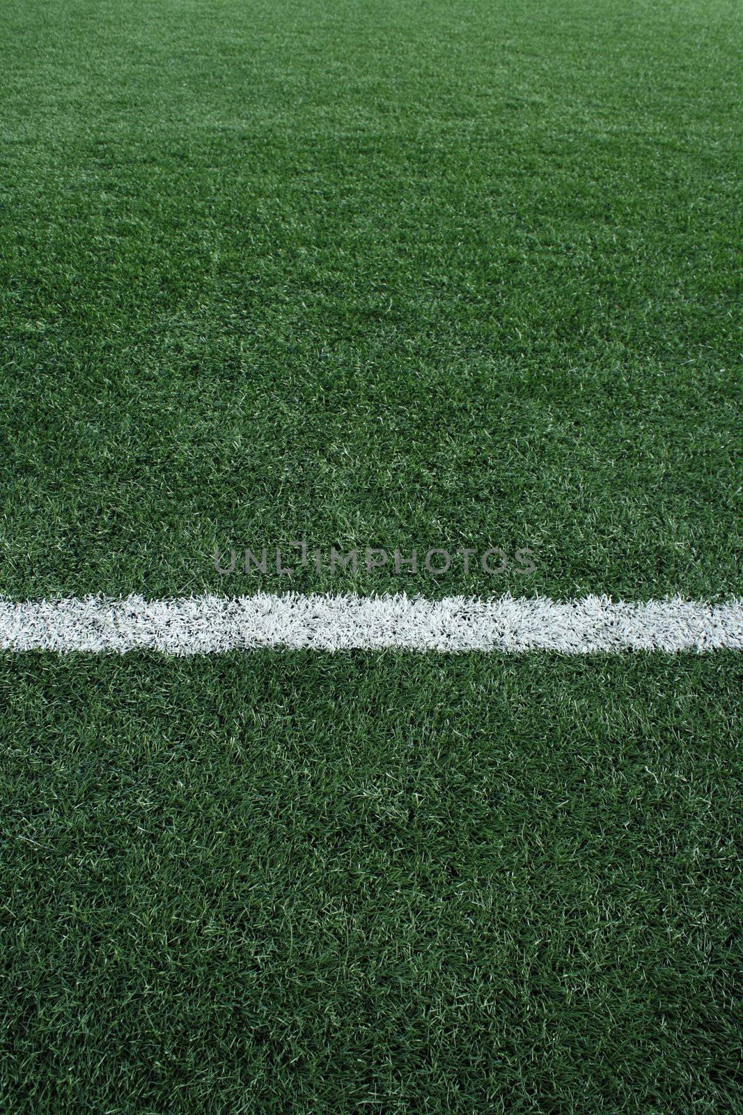Artificial grass soccer field by liewluck