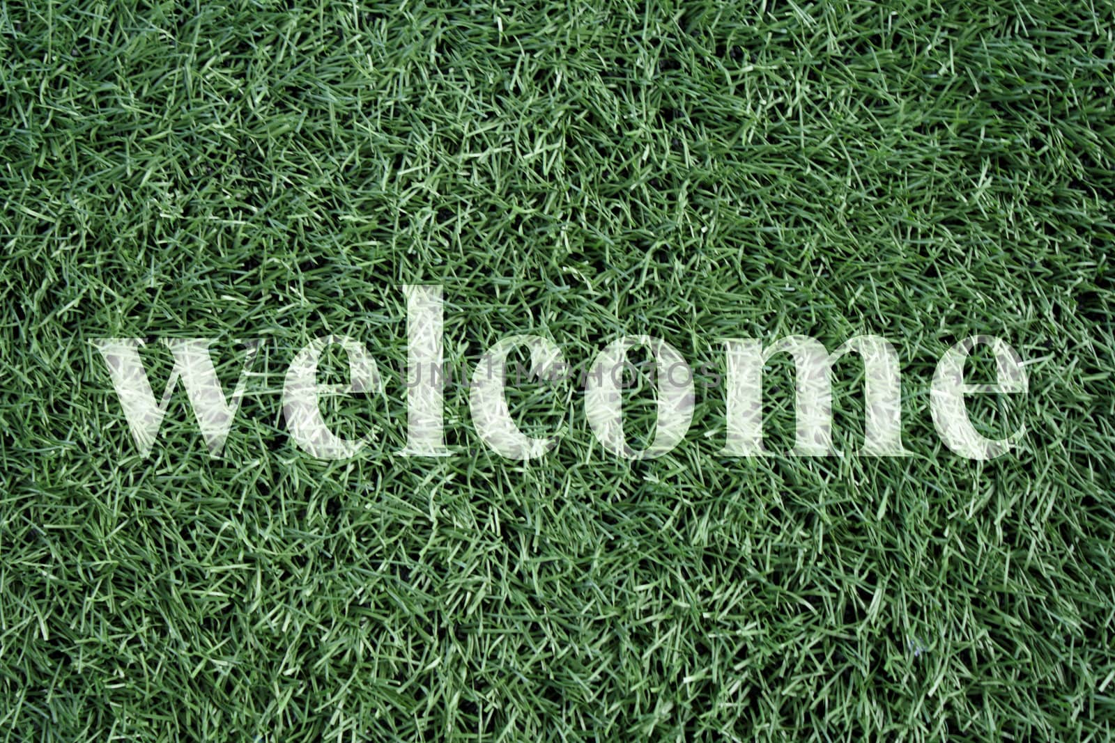 Welcome on Artificial grass soccer field for background