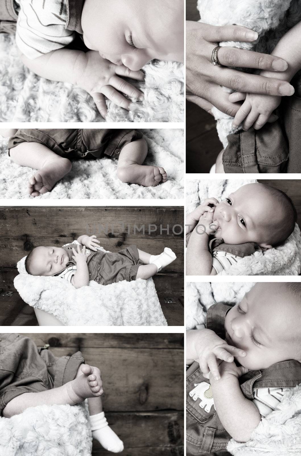 Collection of baby images with a filter effect