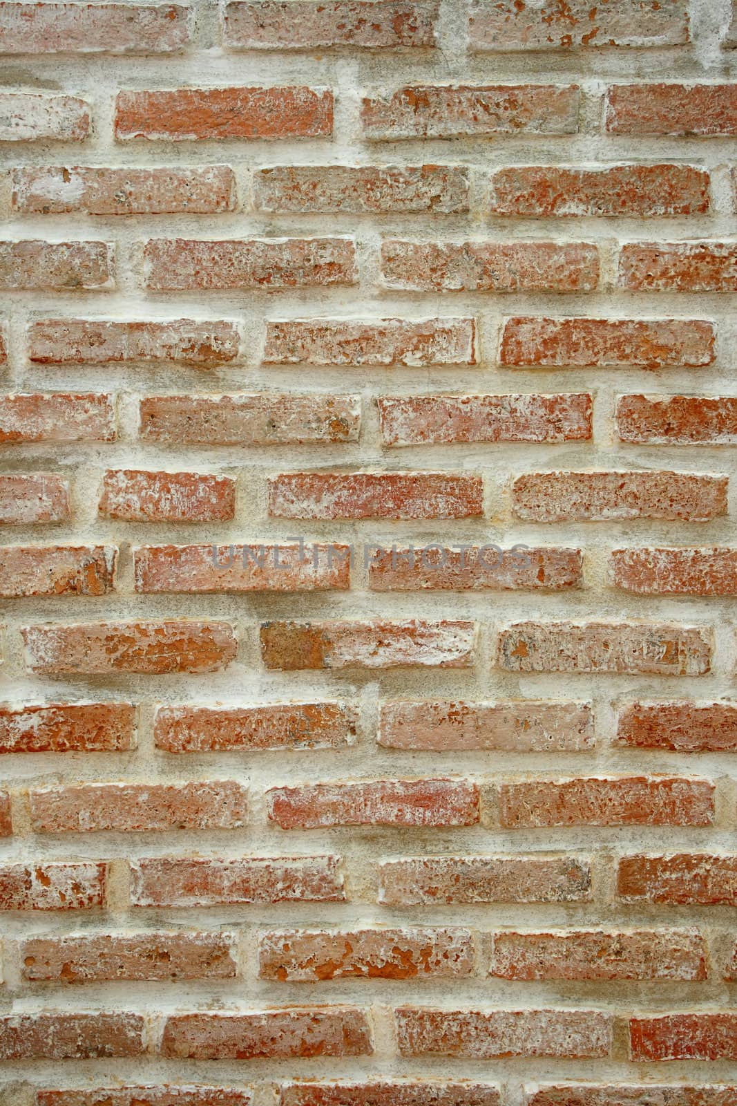 Brick Wall by liewluck