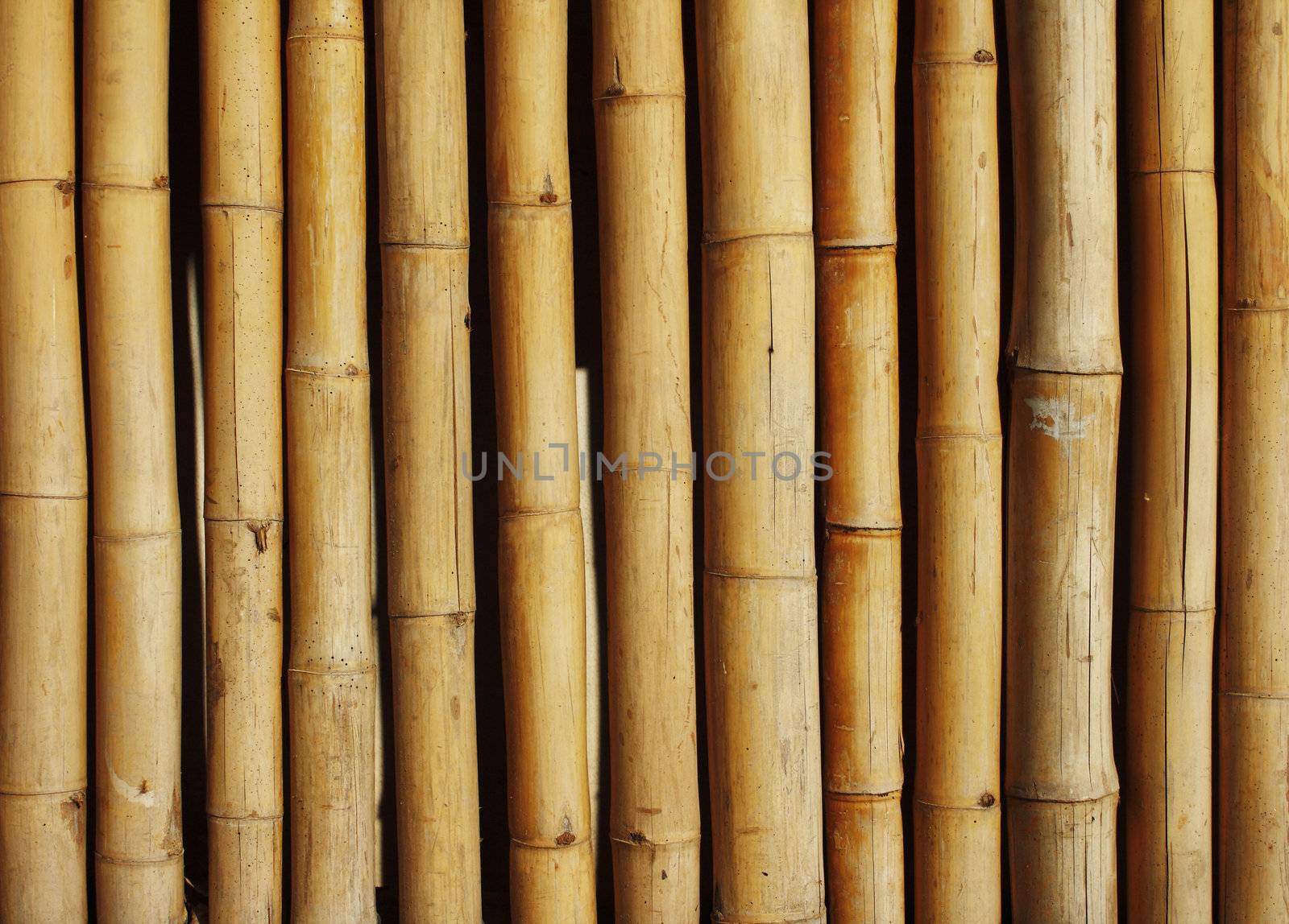 Close-up bamboo background texture with columns