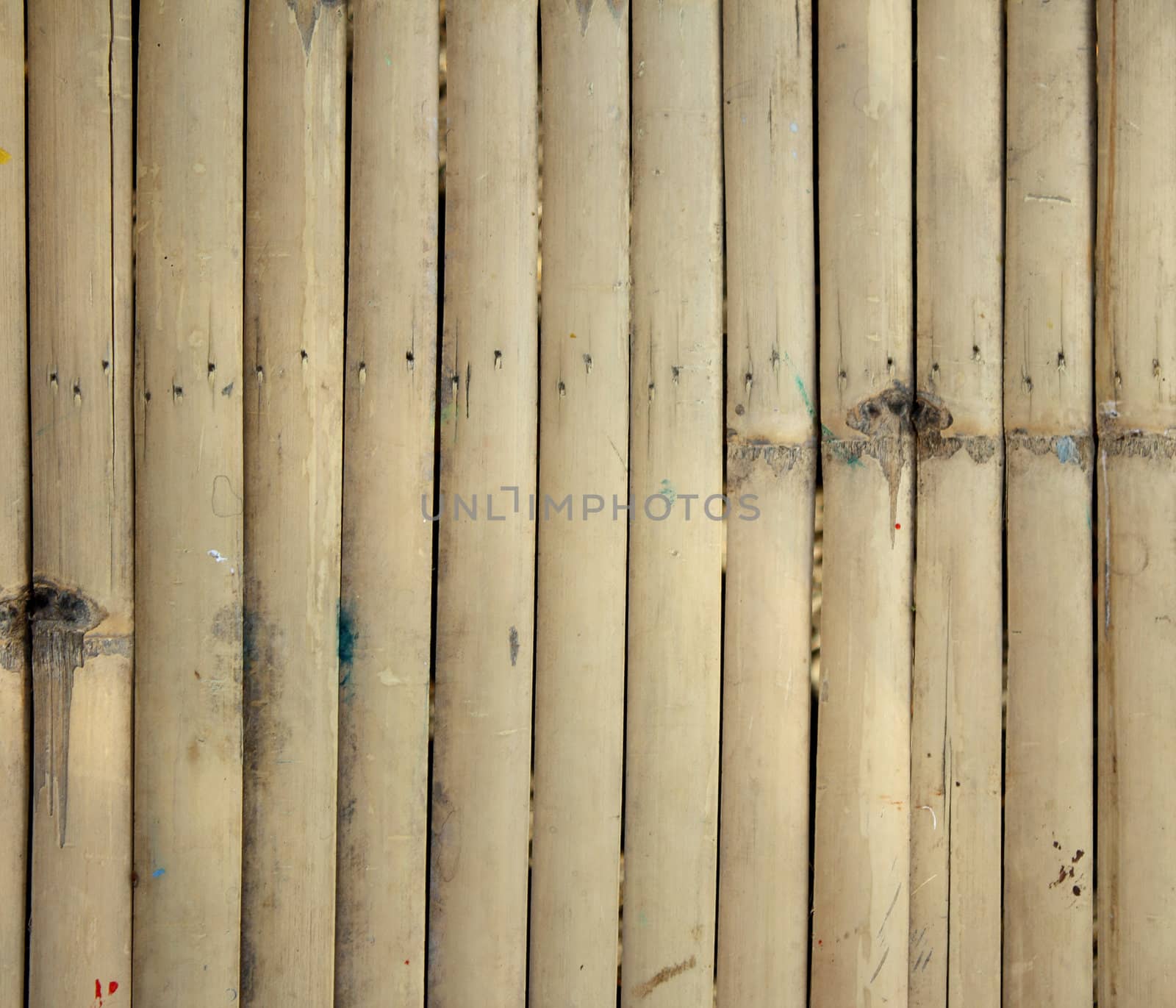 Bamboo background by liewluck