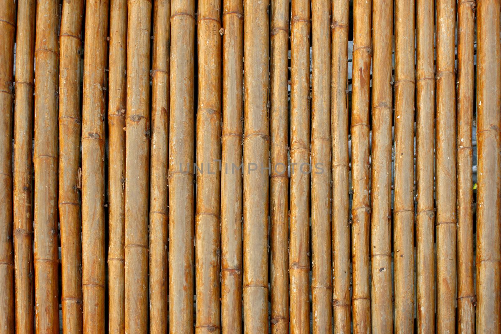 Close-up bamboo background texture with columns