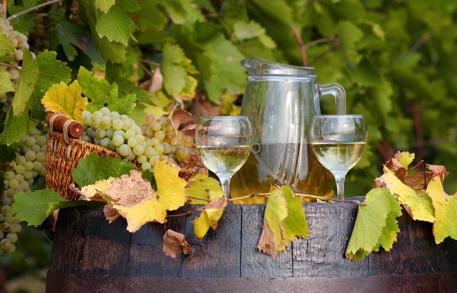 vineyard white wine by goce