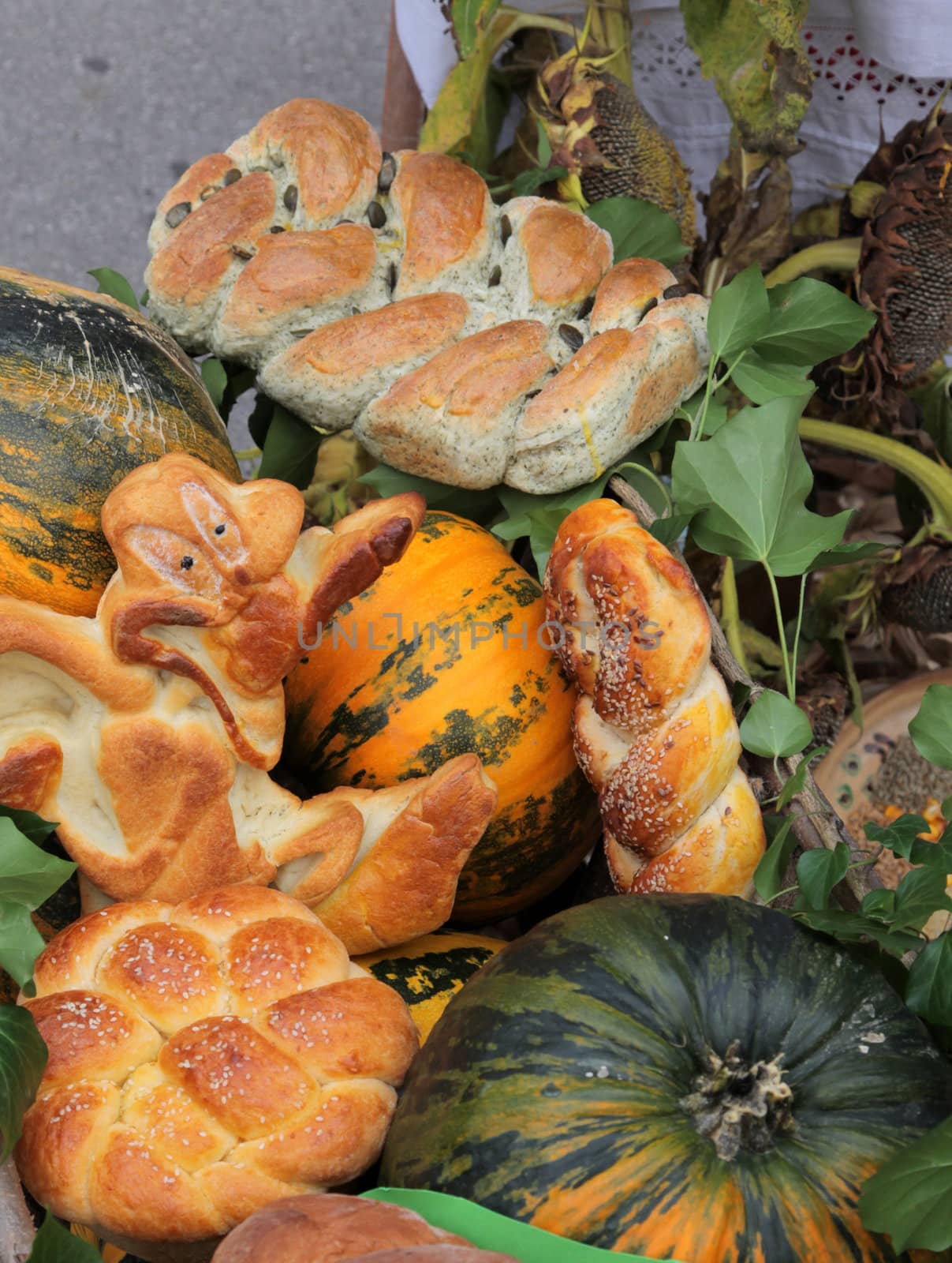 Variety of bread by atlas