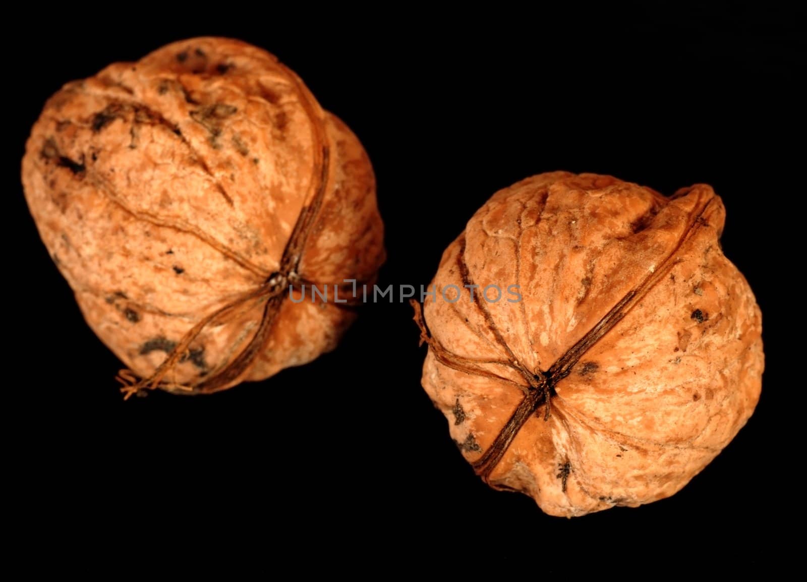 two brown walnuts over black background closeup