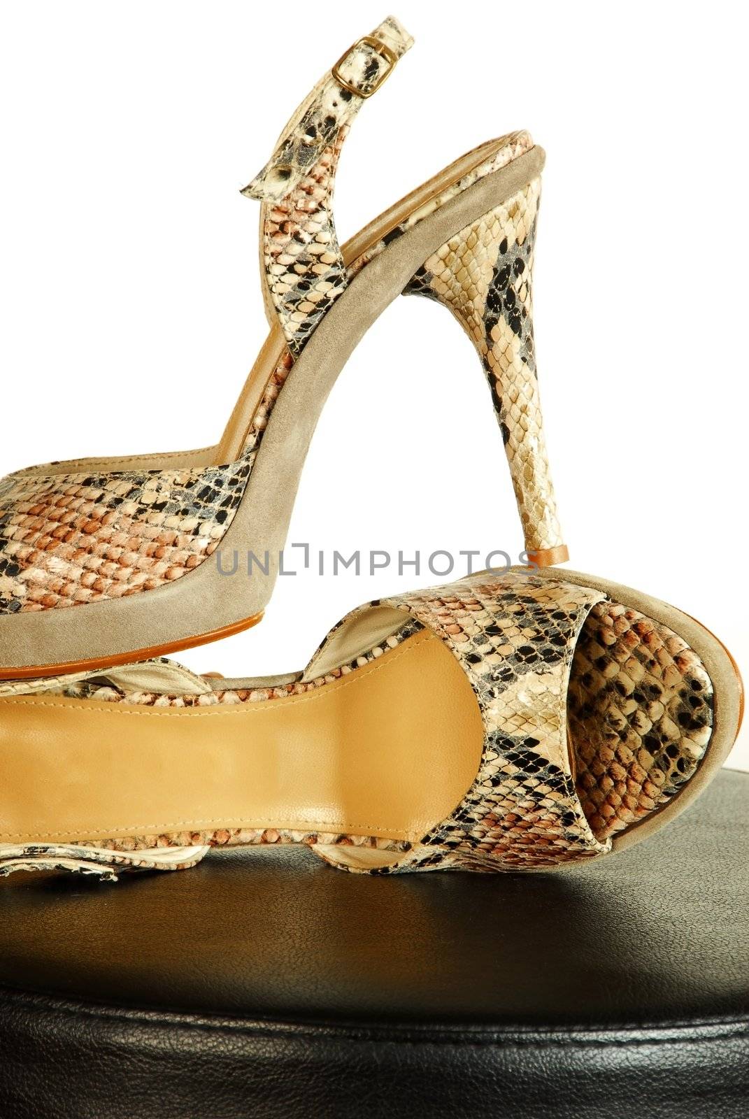 pair of fashionable sexy snake designed high heeled shoes over white