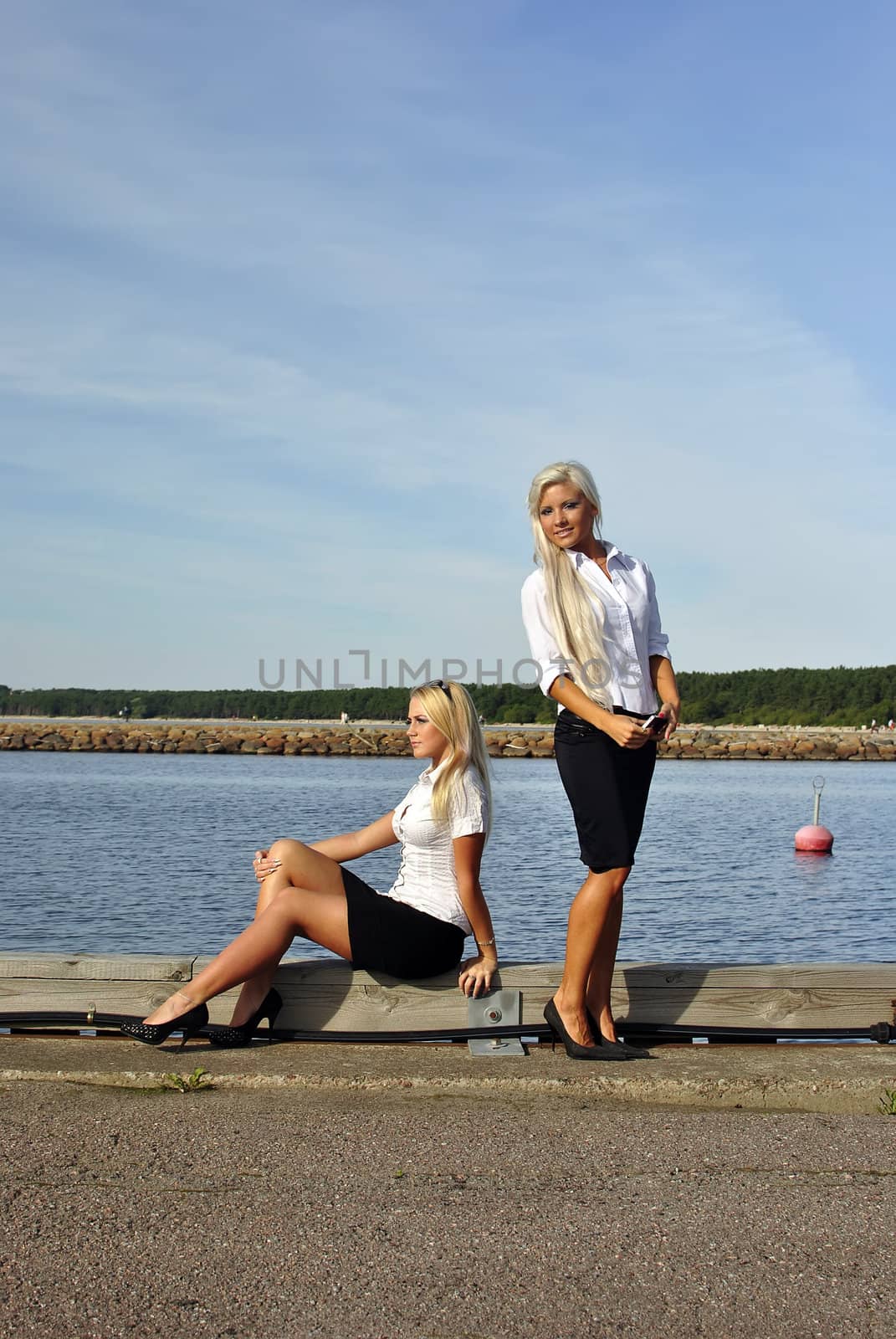 Two blonde girls on the beach. One is standing. Another sits