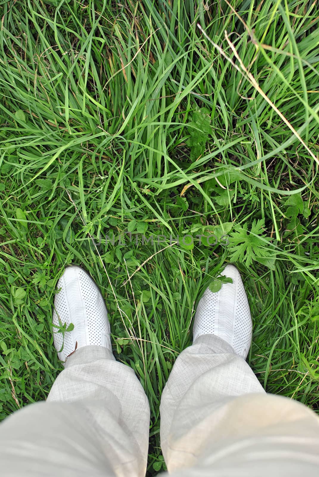 Shoes on the grass. A point of view shot