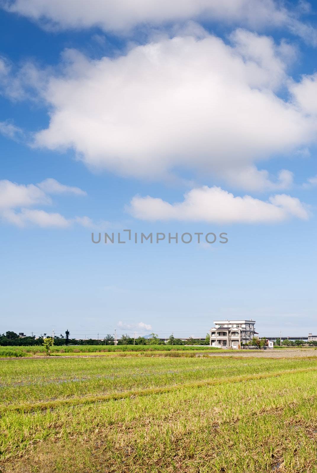 Beautiful rural scenery of farm under blue sky and white clouds in daytime.