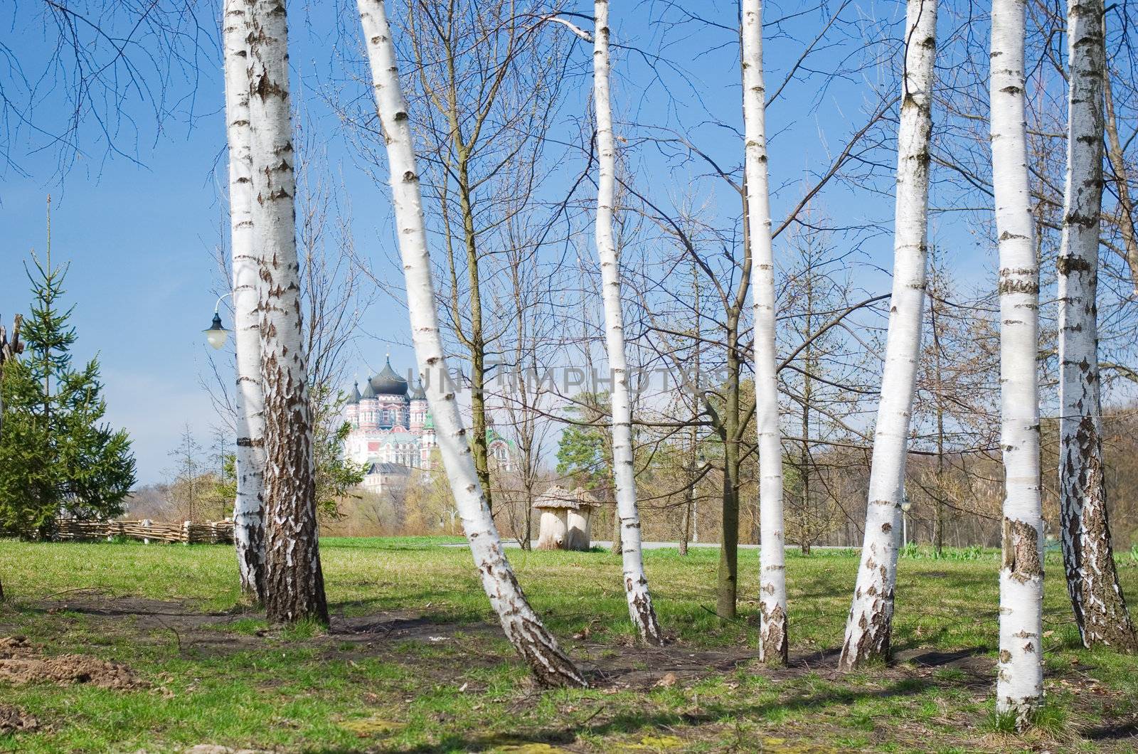 Beautiful landscape with birch-trees and church