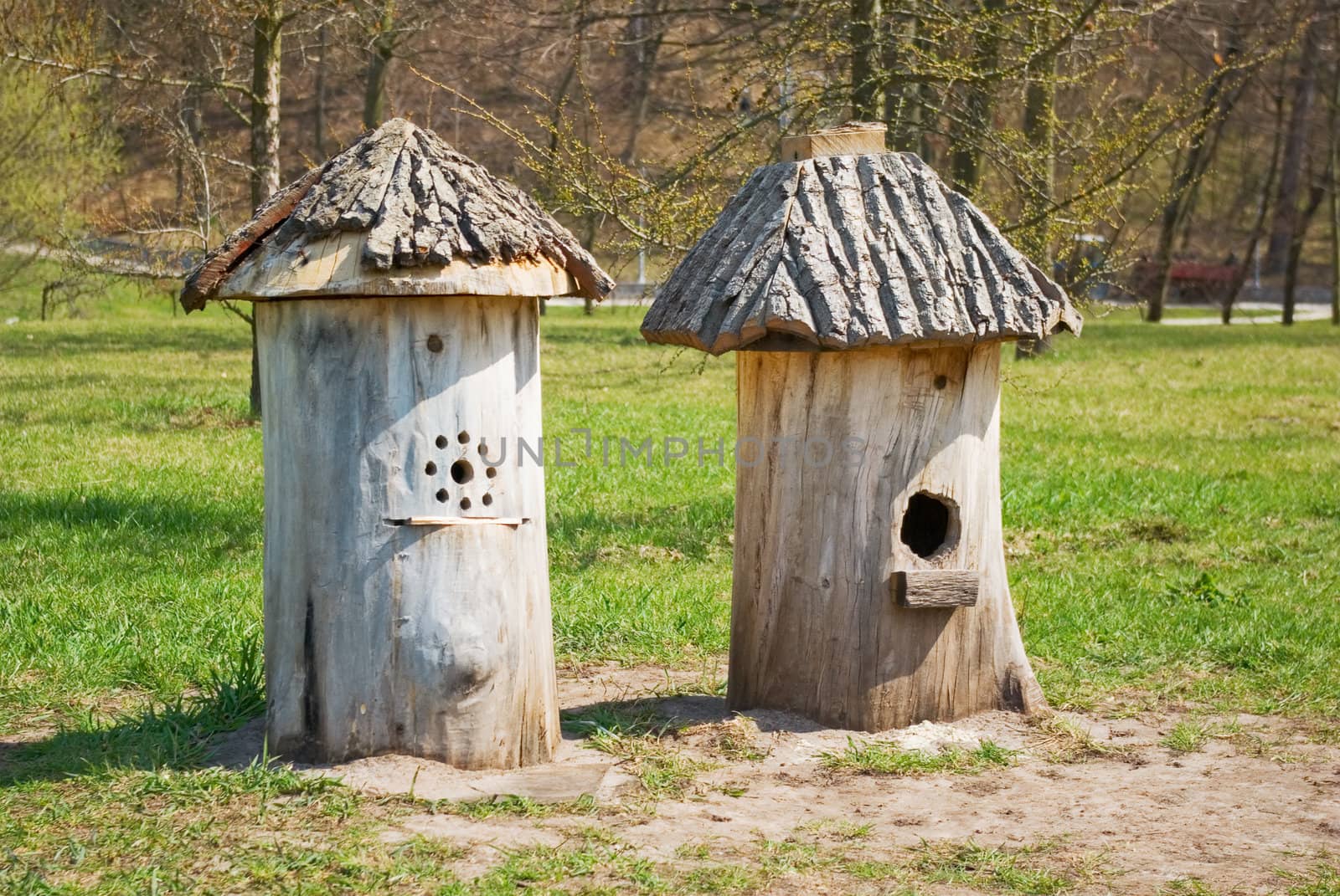 Ancient Ukrainian beehive hollowed from a tree trunk