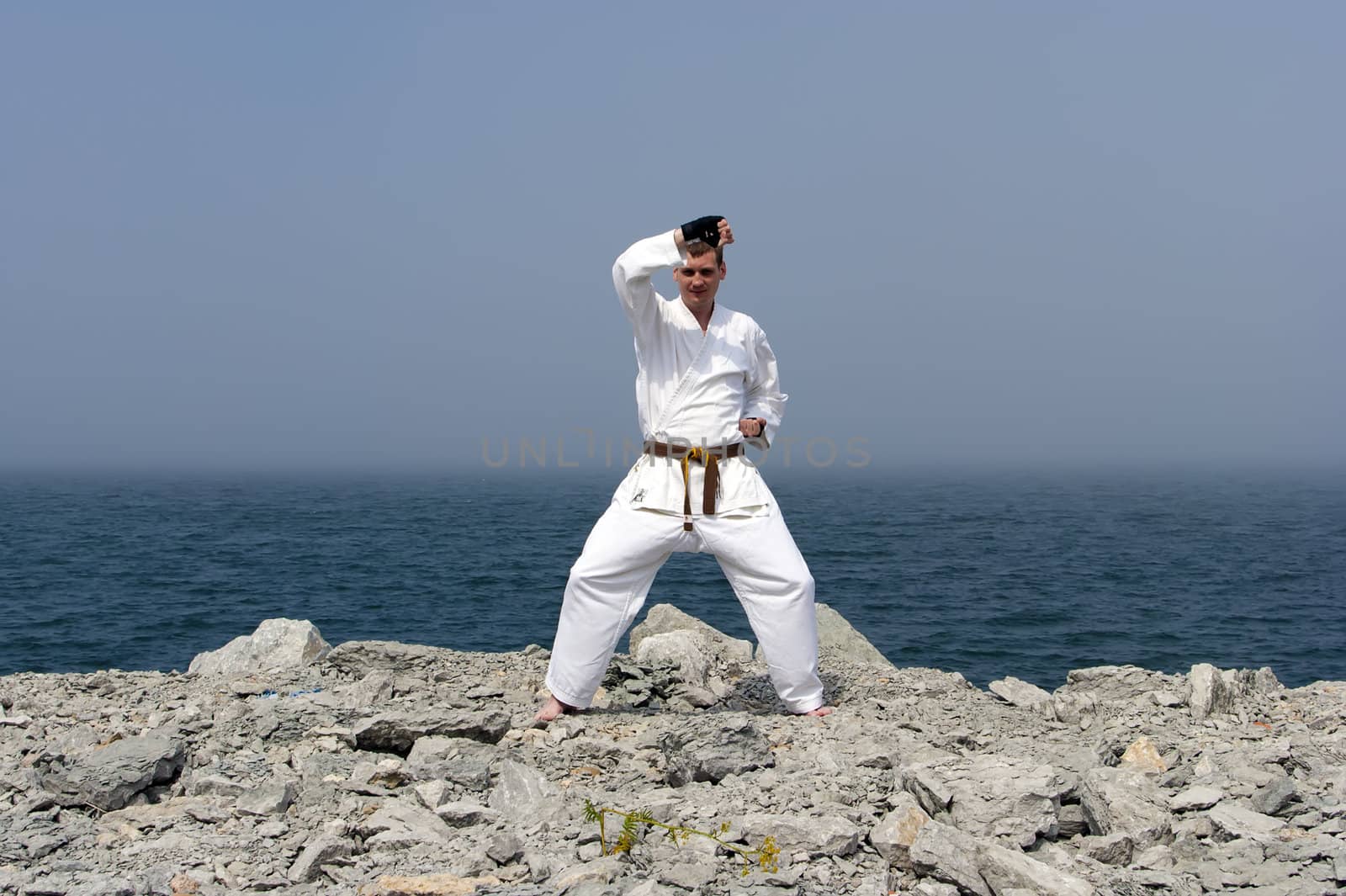 karate on the shores of the misty sea