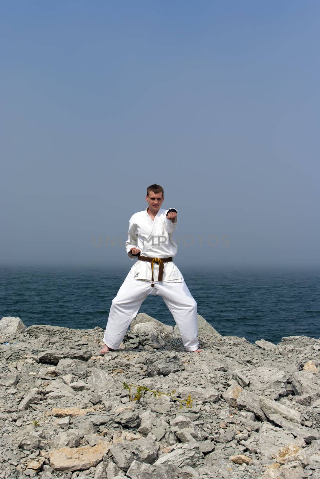 karate on the shores of the misty sea