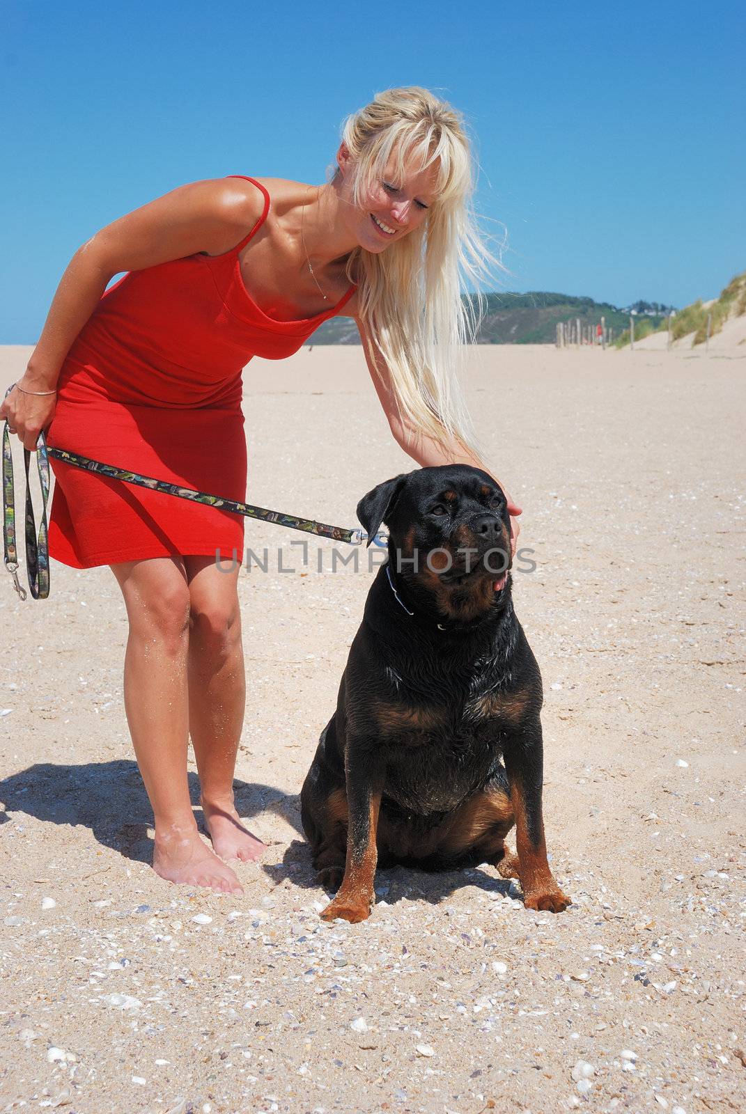 woman at beach with dog