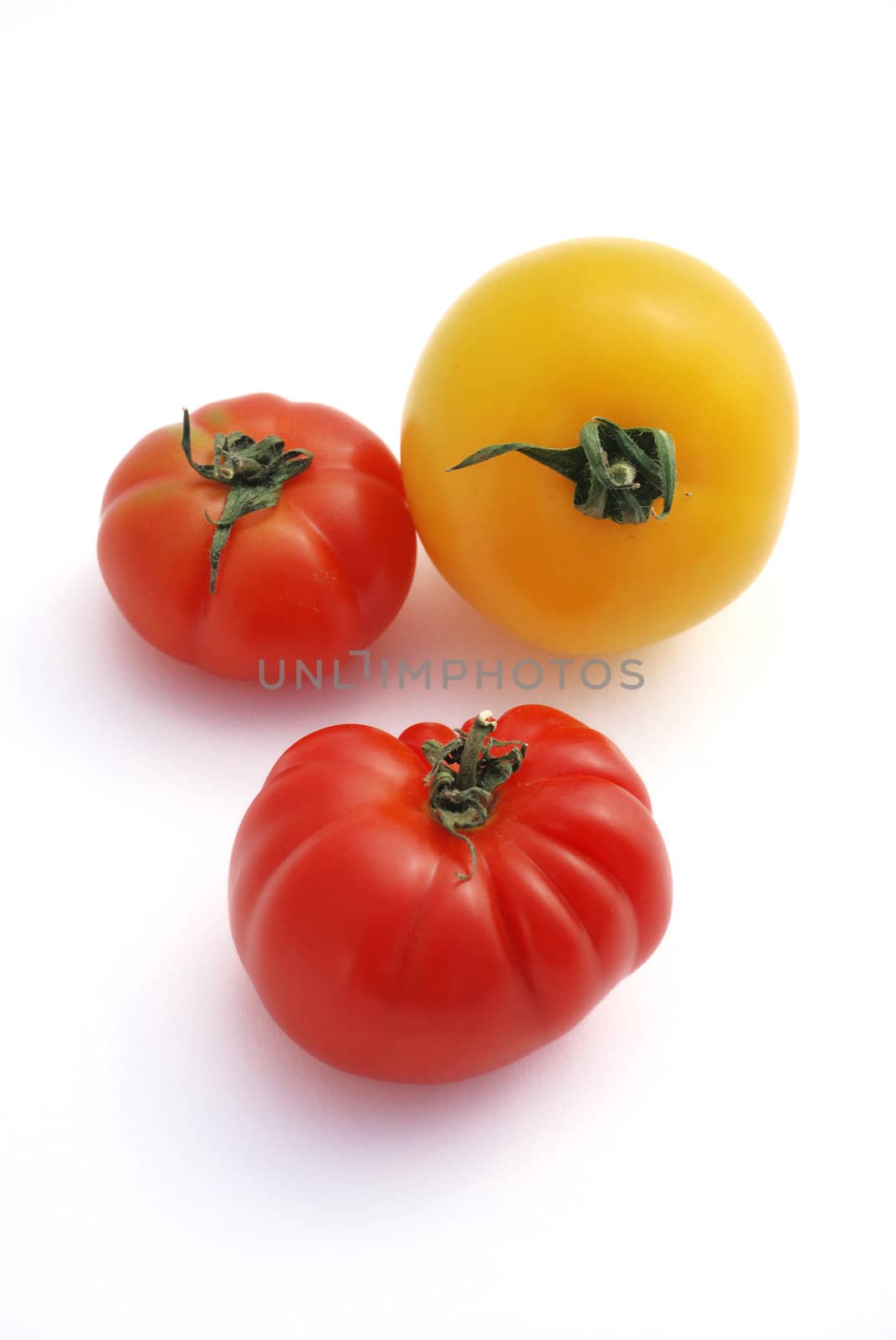 Tomato 