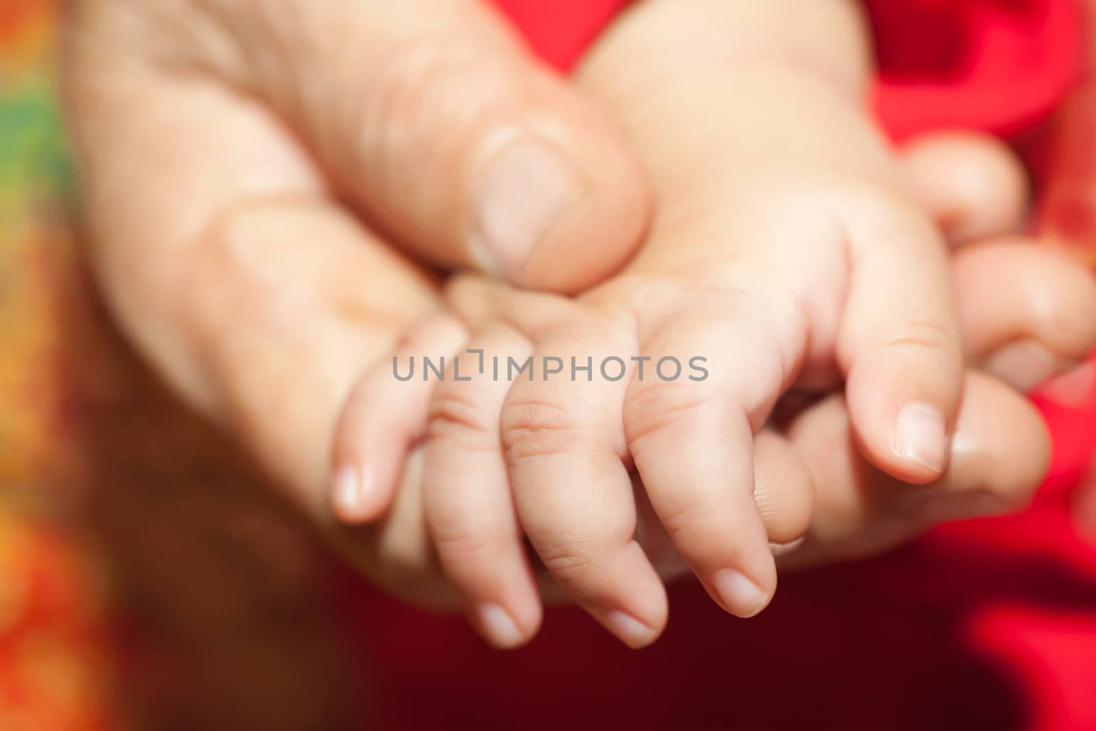Grandmom hand holding her infant hand by Suriyaphoto
