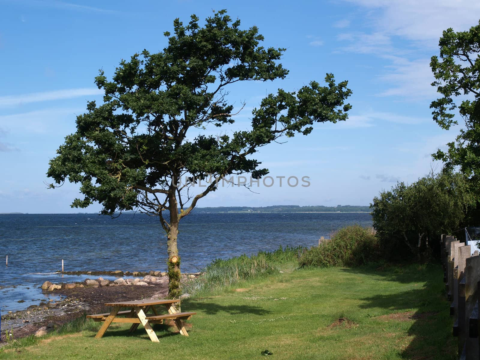 Outdoors Picnic tableunder a tree  by the beach with sea ocean background