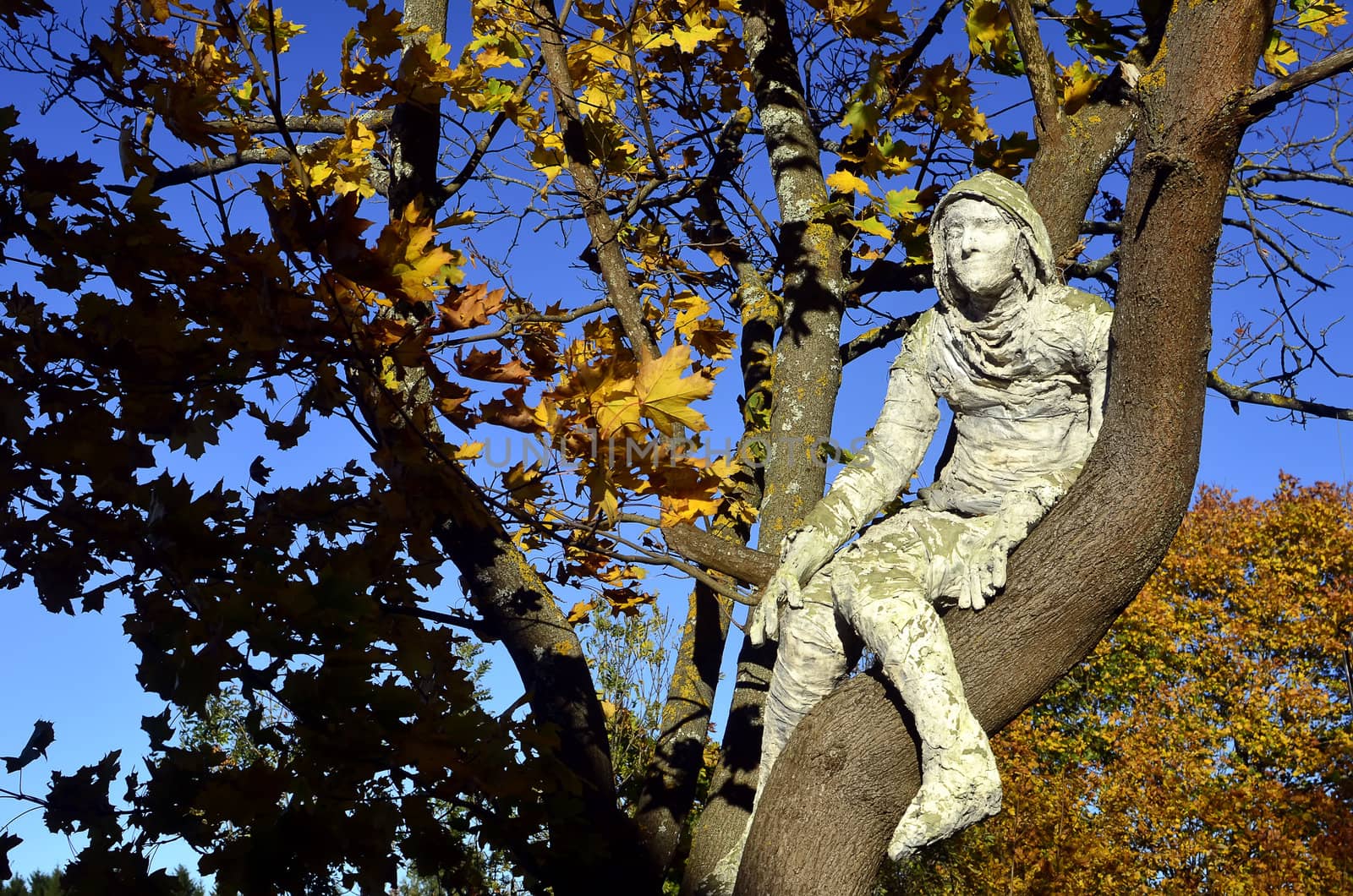 man of plaster sitting on a tree