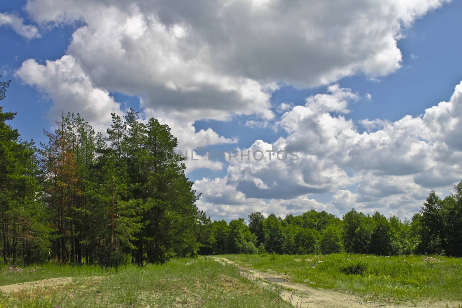 this is a shot of two hiking trails