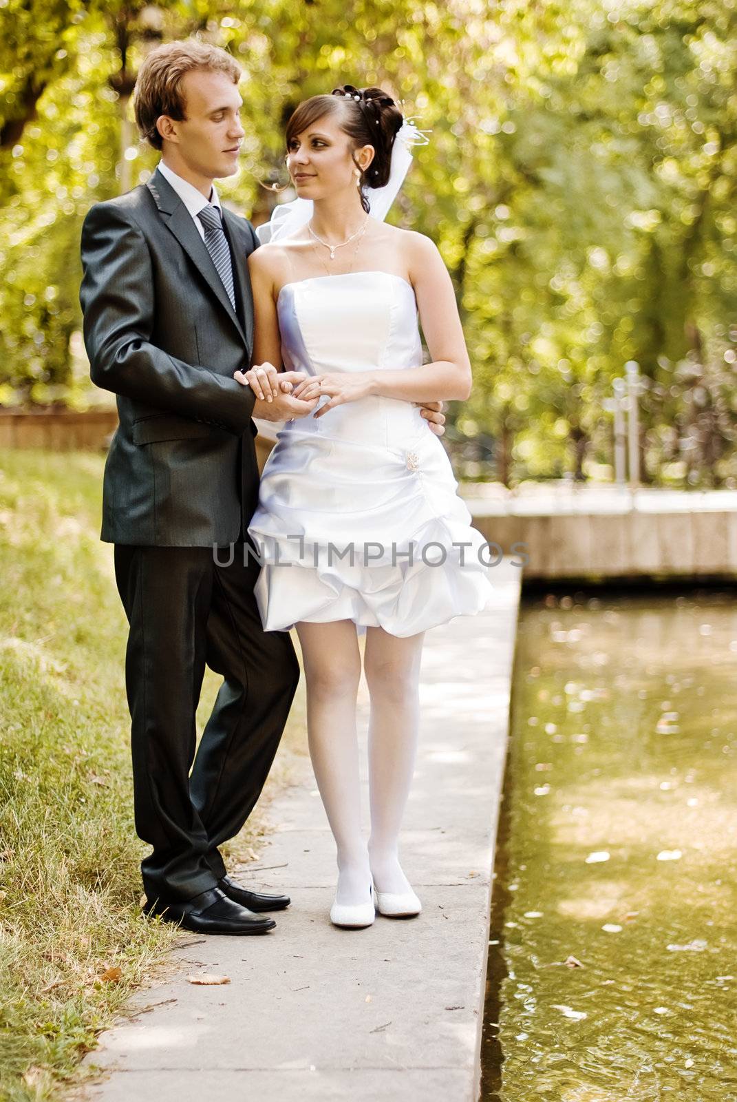 The bride and groom, standing near the lake in the park on a beautiful sunny day