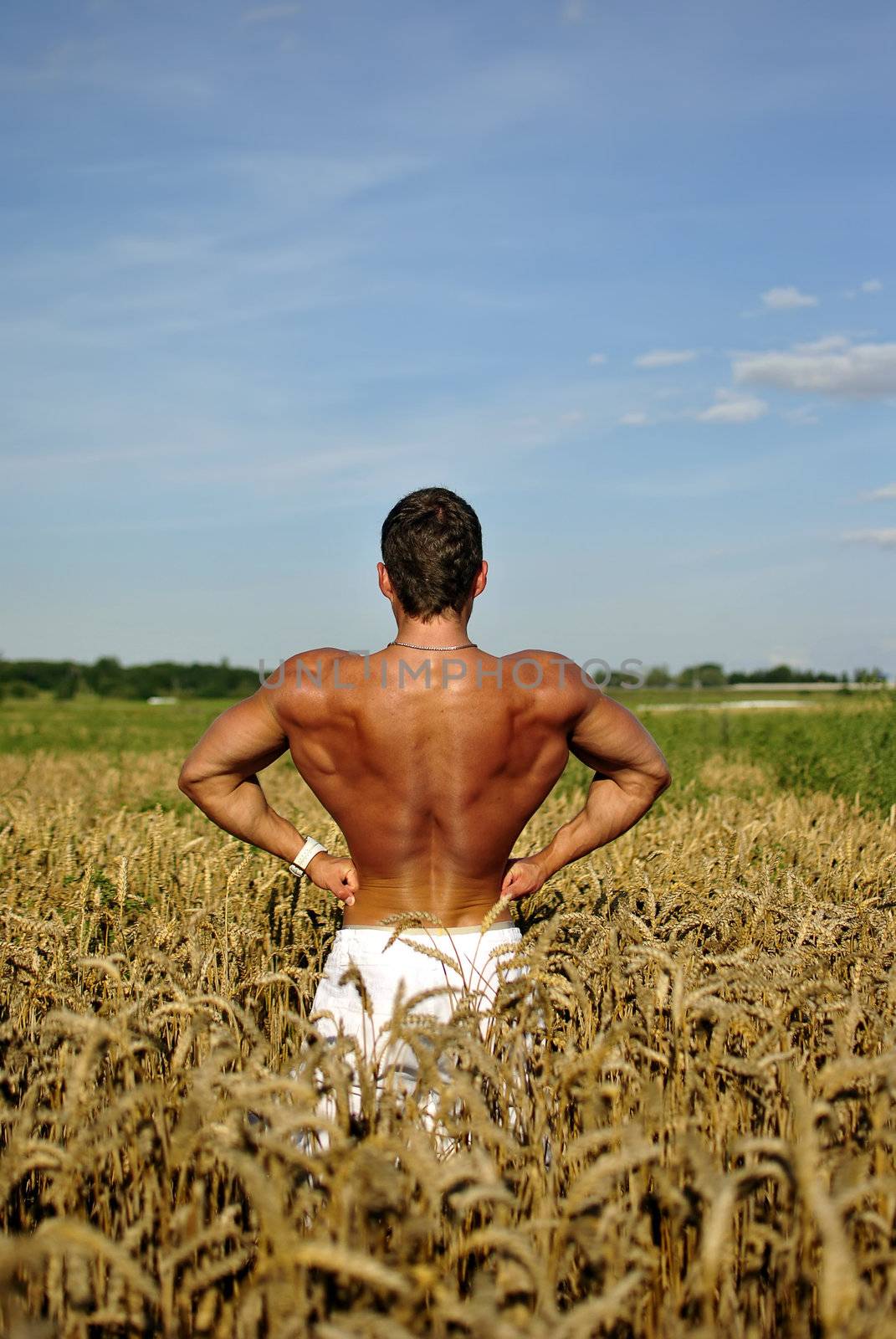 bodybuilder with sunglasses standing waist-deep in the field. space for text